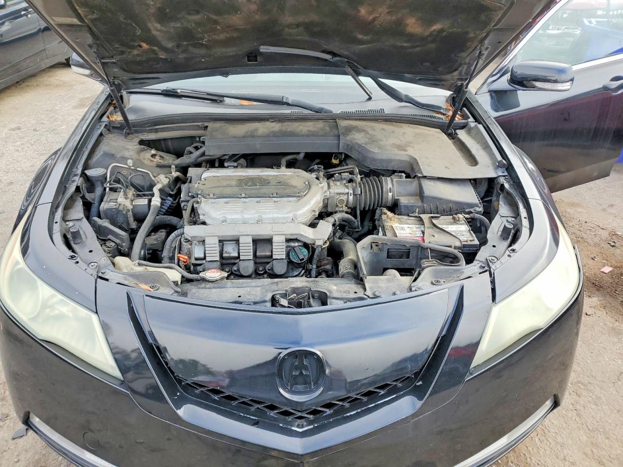 2010 ACURA TL photo 11