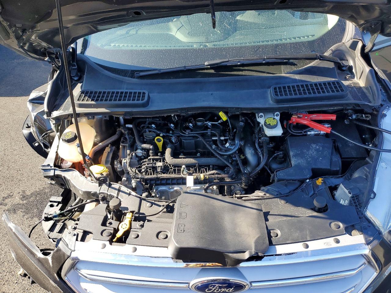 2019 FORD ESCAPE SEL photo 12