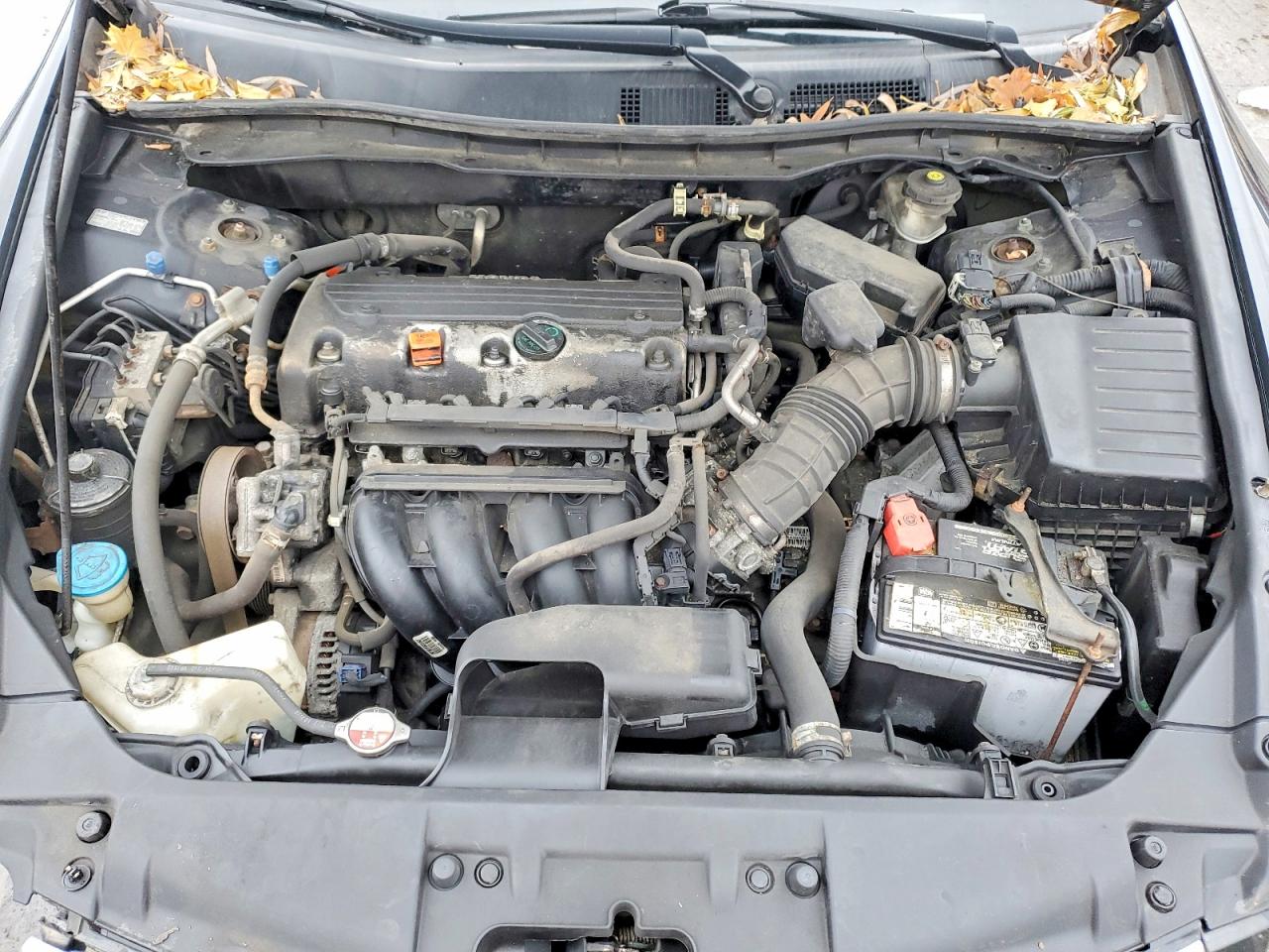 2010 HONDA ACCORD LX photo 11