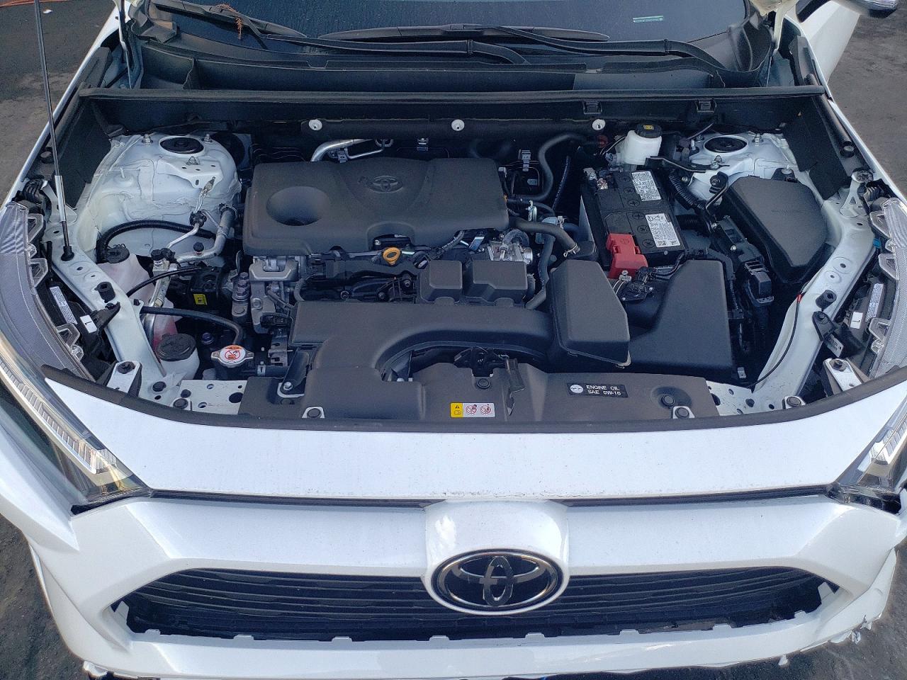 2025 TOYOTA RAV4 XLE photo 12