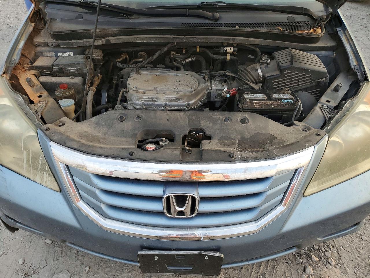 2010 HONDA ODYSSEY EXL photo 12