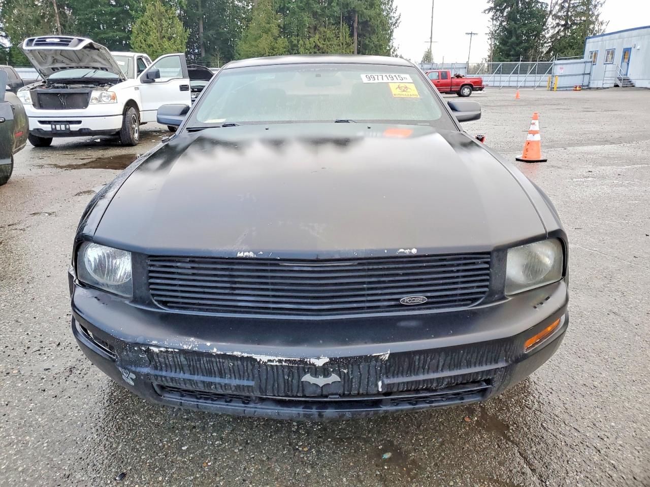 2005 FORD MUSTANG photo 5