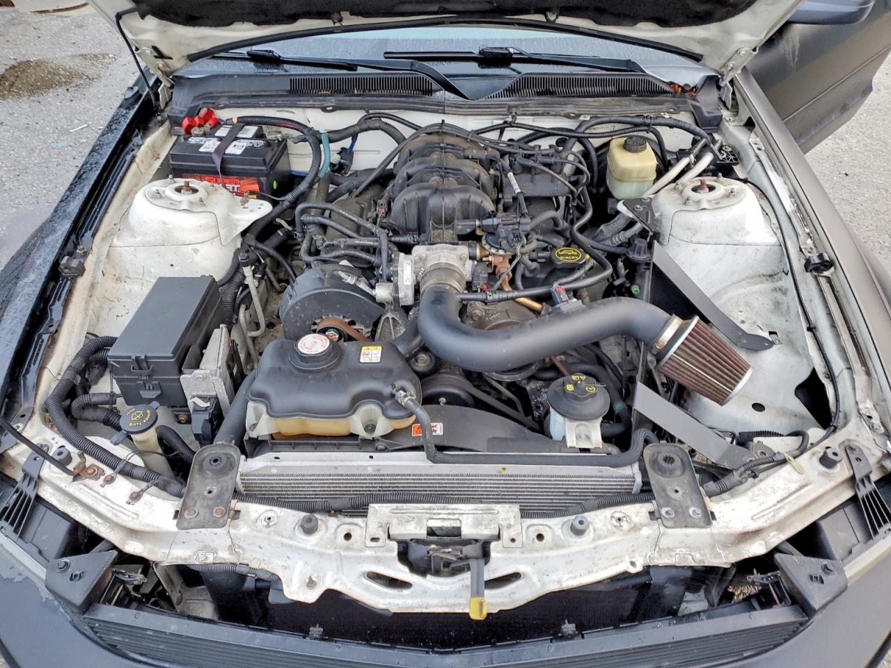2005 FORD MUSTANG photo 11