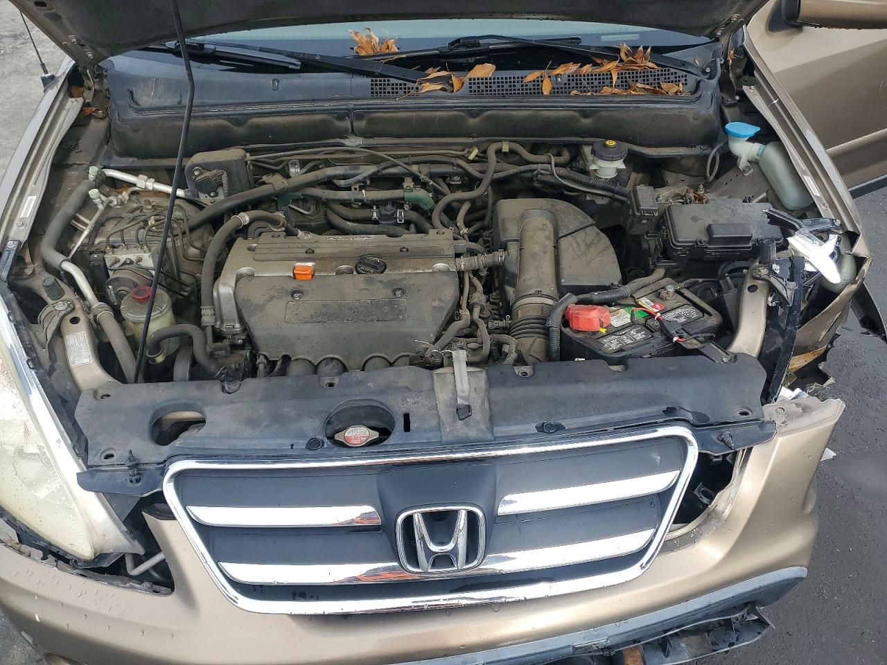2005 HONDA CR-V SE photo 12