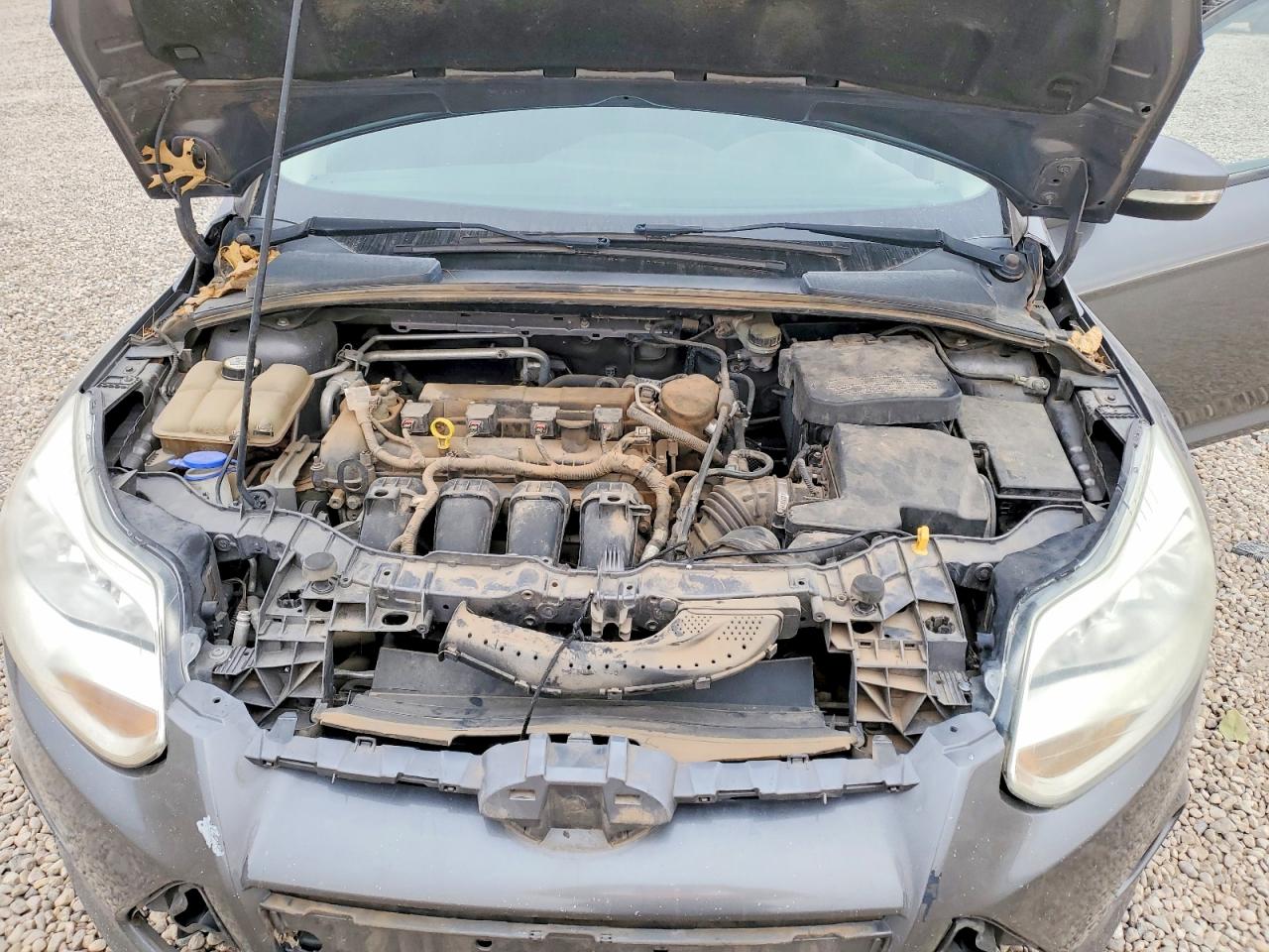 2014 FORD FOCUS SE photo 11