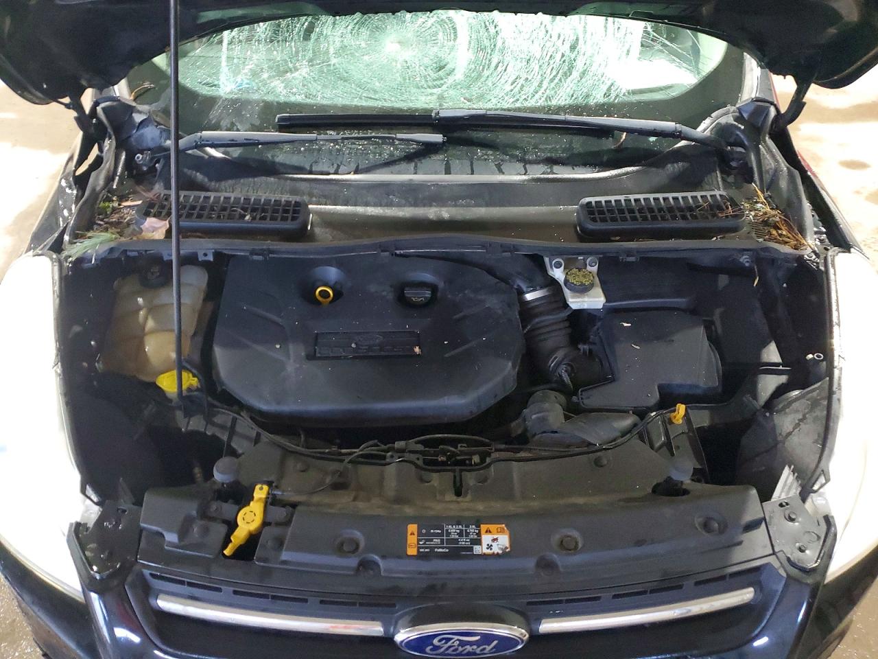 2014 FORD ESCAPE SE photo 12