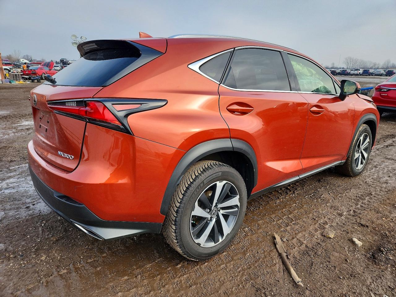 2021 LEXUS NX 300 BASE photo 3