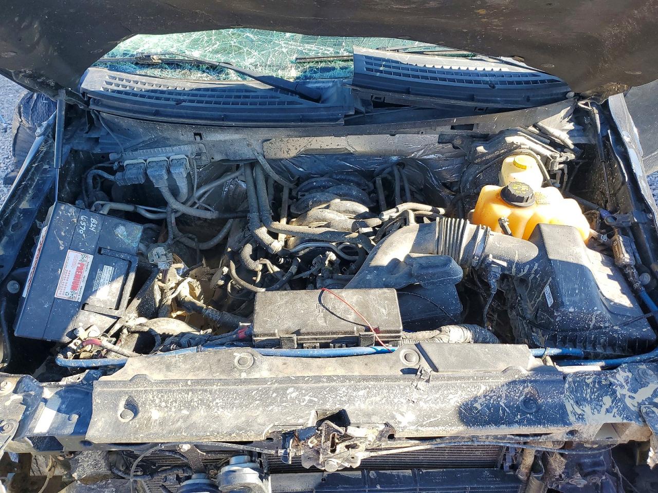 2014 FORD F150 SUPER CAB photo 11