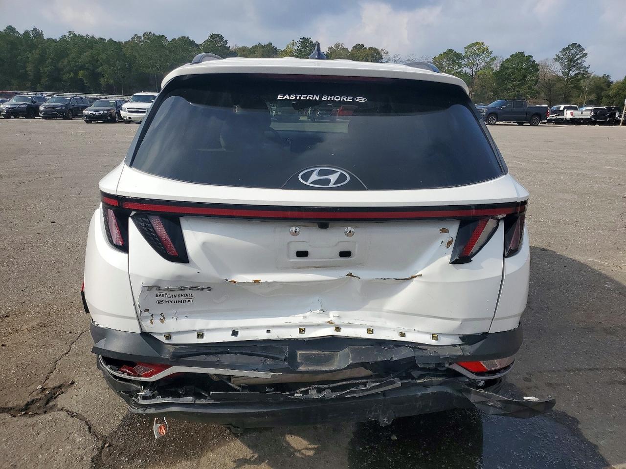 2024 HYUNDAI TUCSON SEL photo 6