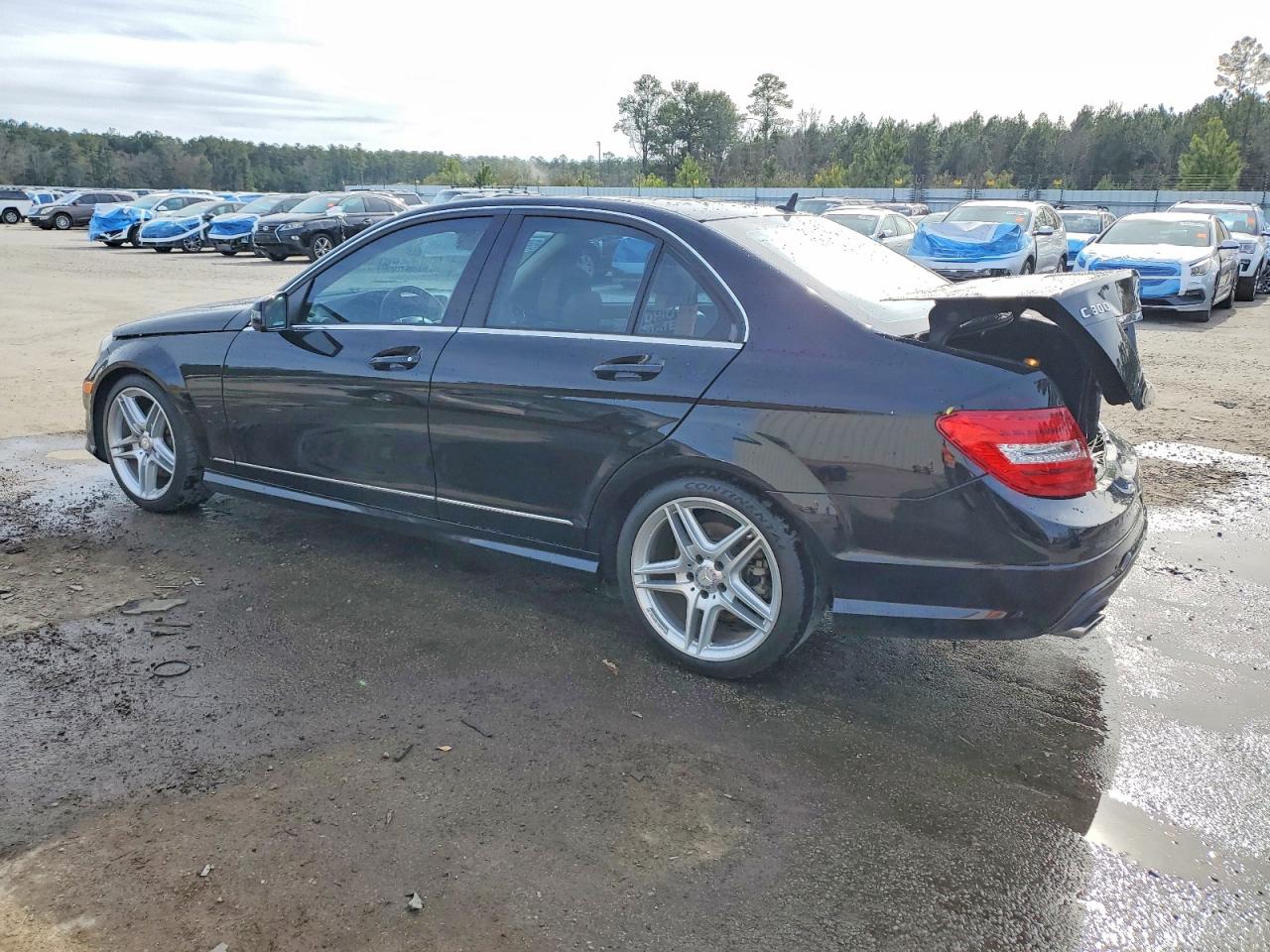 2013 MERCEDES-BENZ C 300 4MATIC photo 2