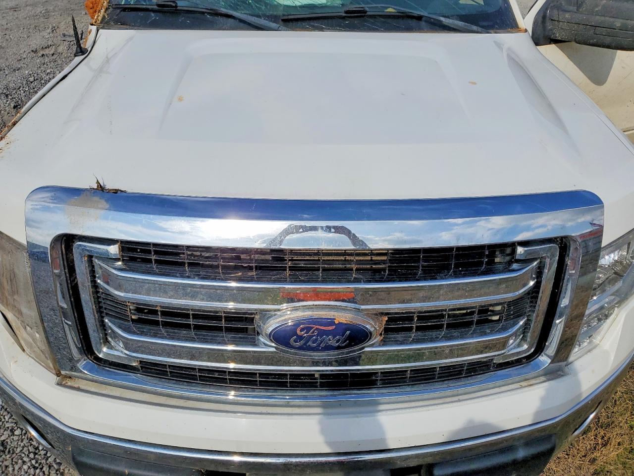 2014 FORD F150 SUPERCREW photo 11