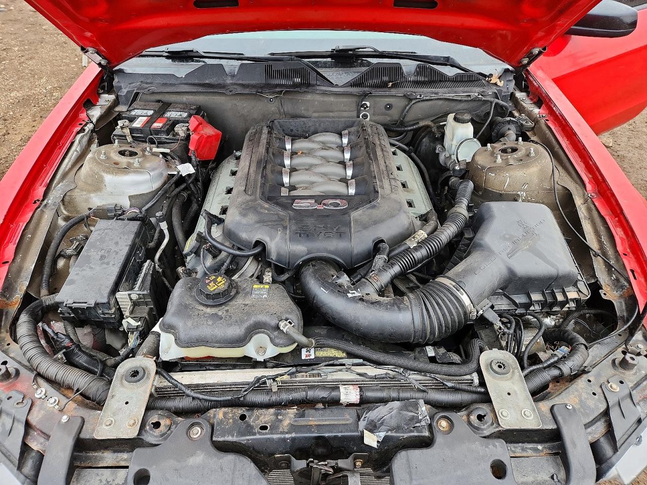 2013 FORD MUSTANG GT photo 11