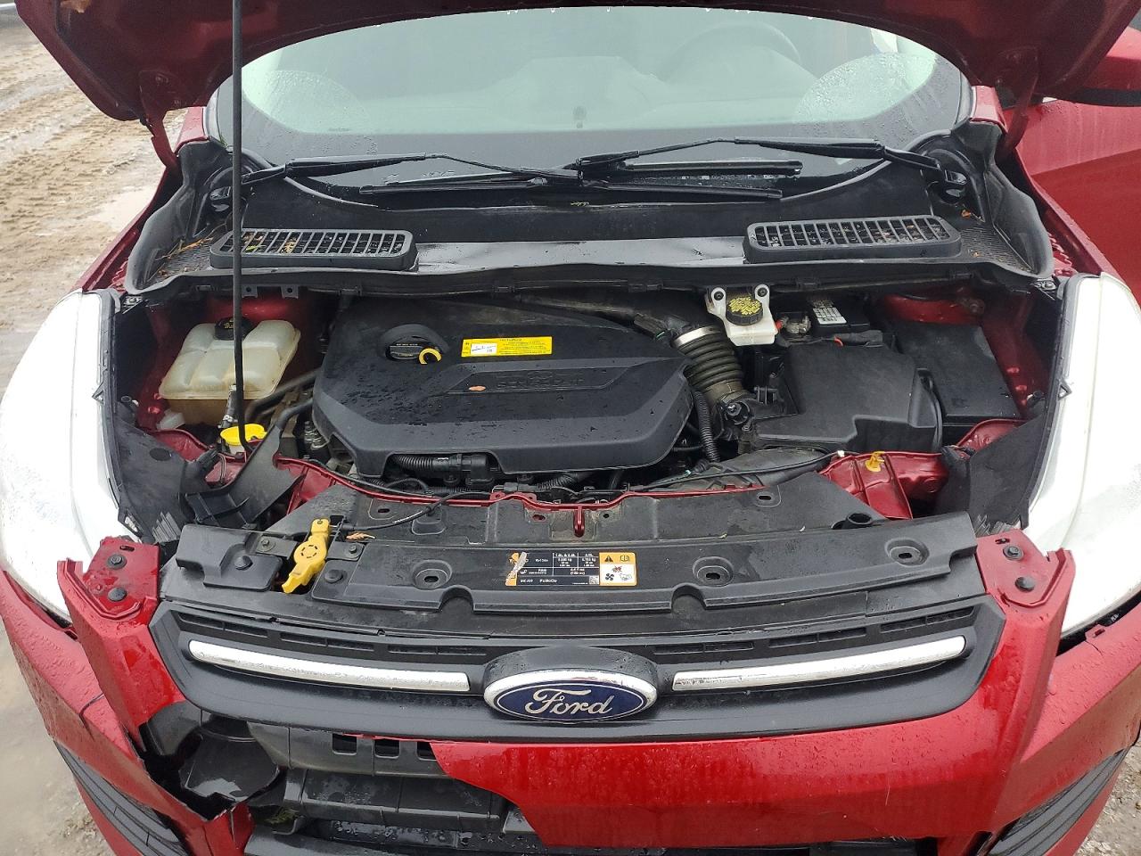 2016 FORD ESCAPE SE photo 11