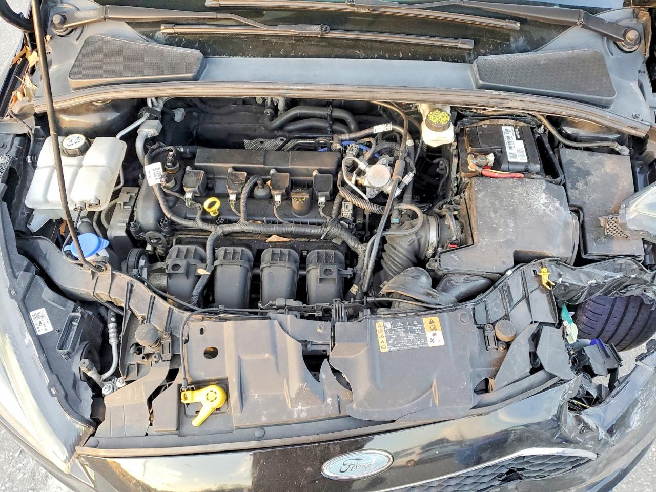 2017 FORD FOCUS SEL photo 11