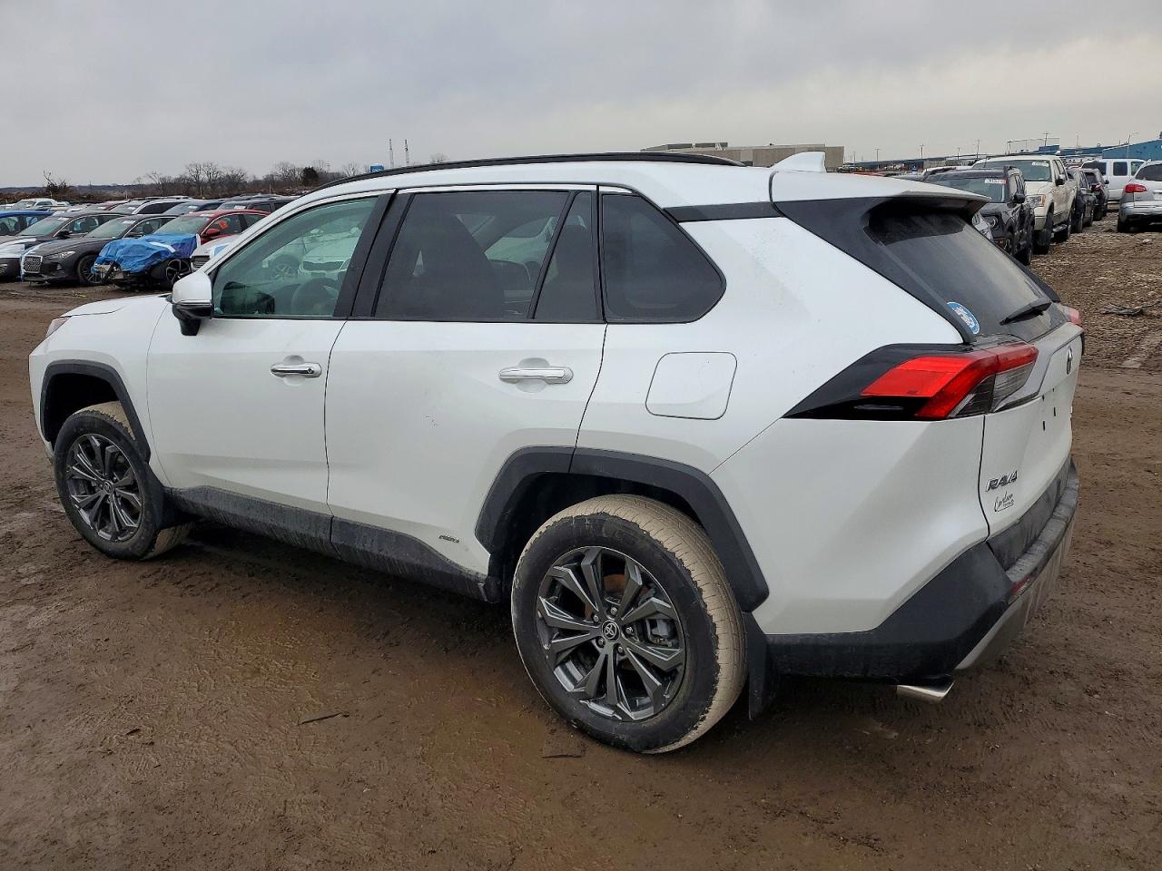 2025 TOYOTA RAV4 LIMITED photo 2