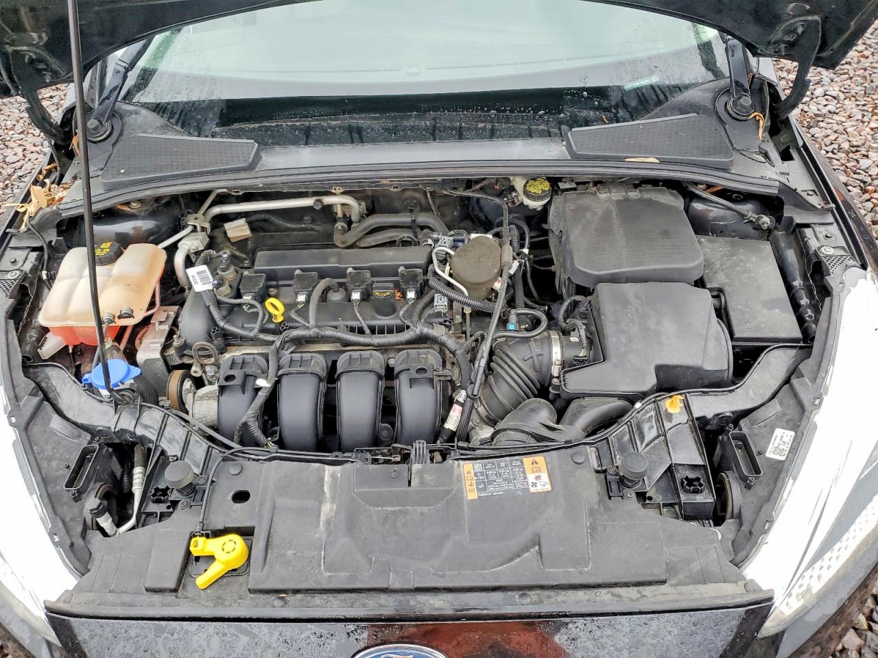 2015 FORD FOCUS SE photo 11