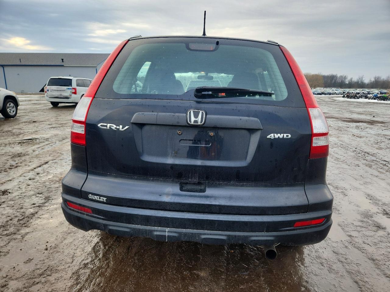 2011 HONDA CR-V LX photo 6