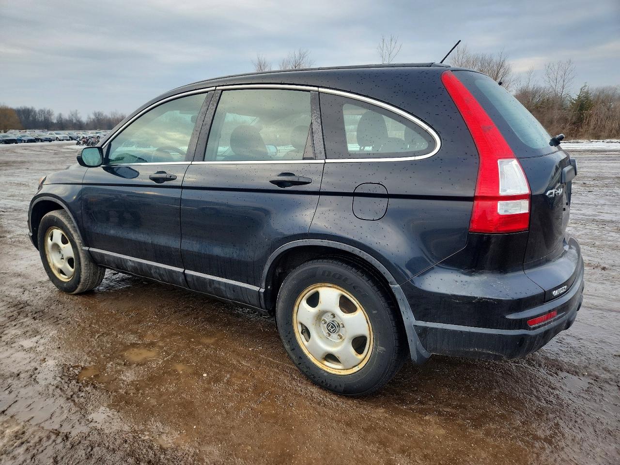 2011 HONDA CR-V LX photo 2