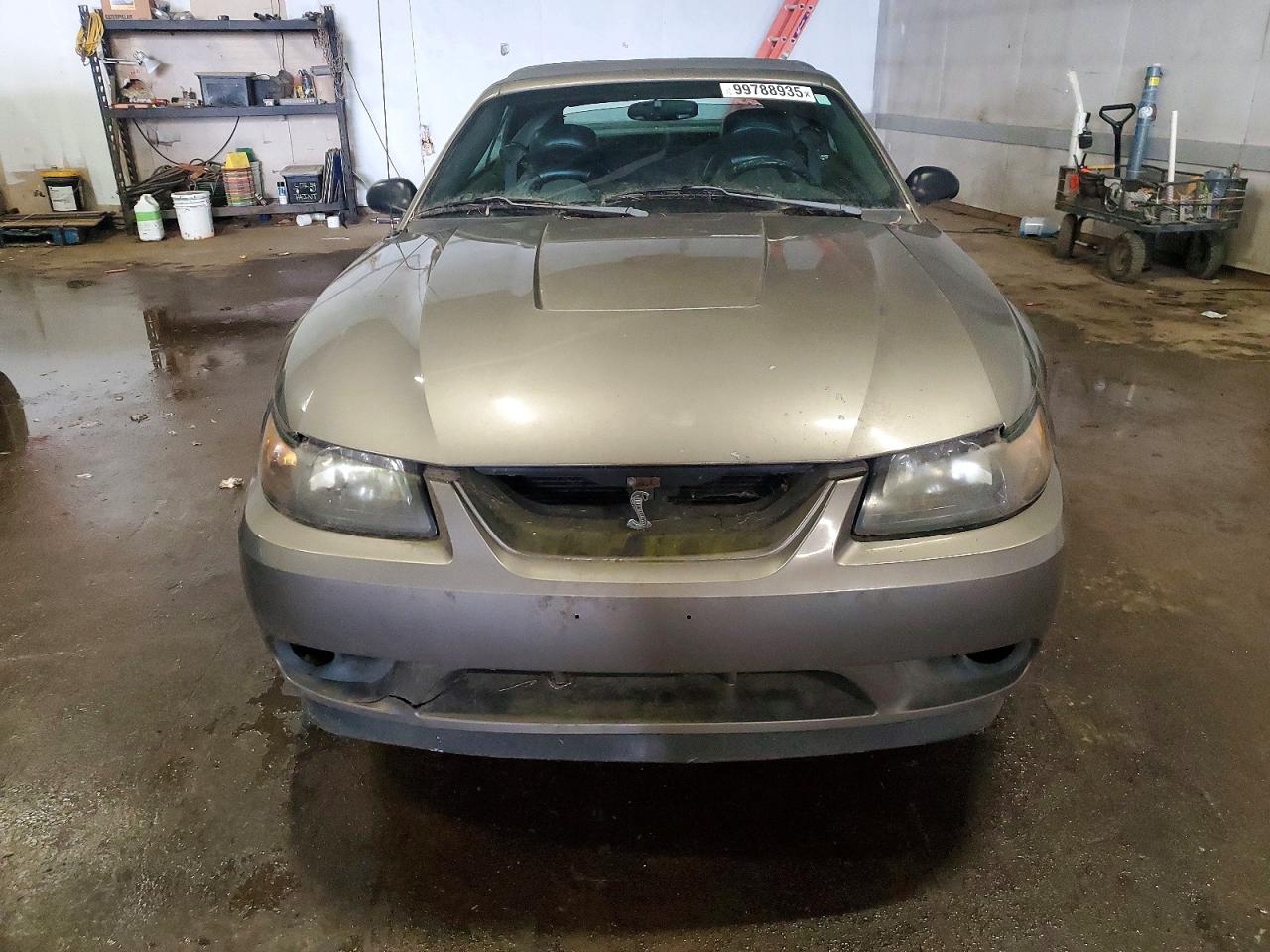 2001 FORD MUSTANG COBRA SVT photo 5