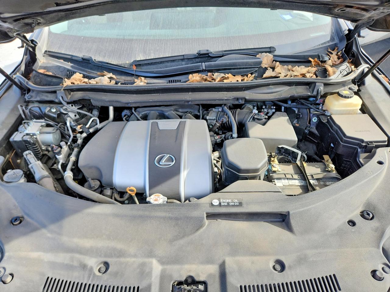 2017 LEXUS RX 350 BASE photo 11