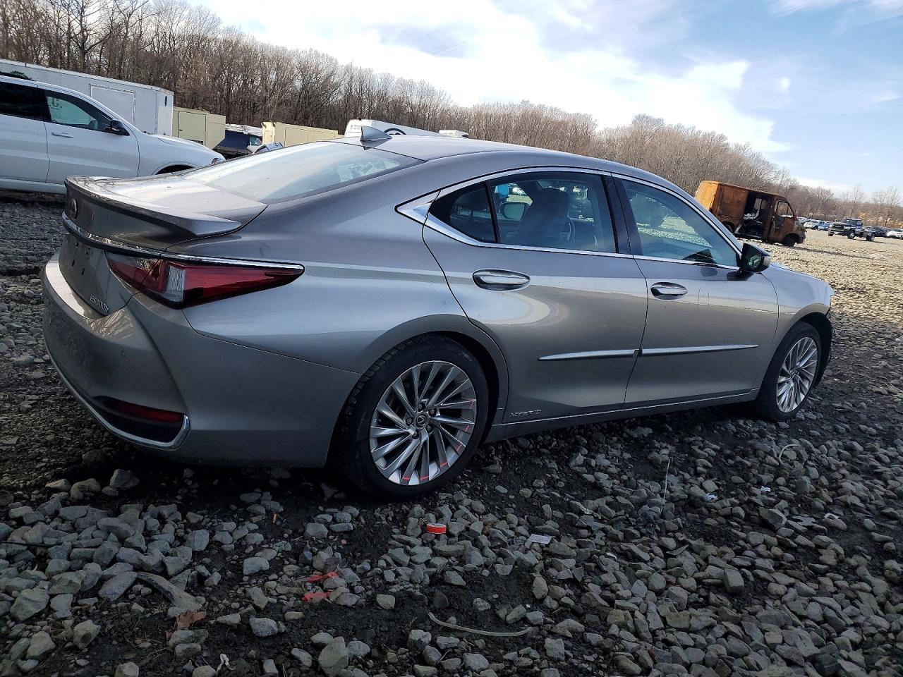2020 LEXUS ES 300H LUXURY photo 5