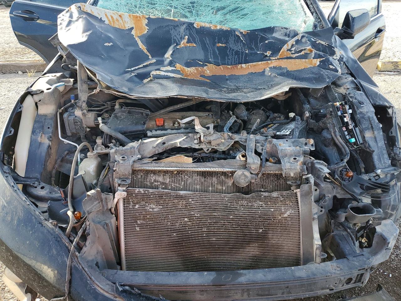 2014 HONDA CR-V EX photo 11