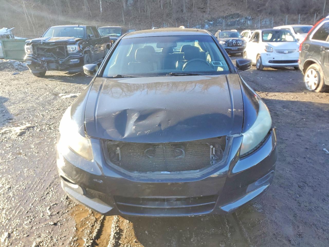 2011 HONDA ACCORD EXL photo 5