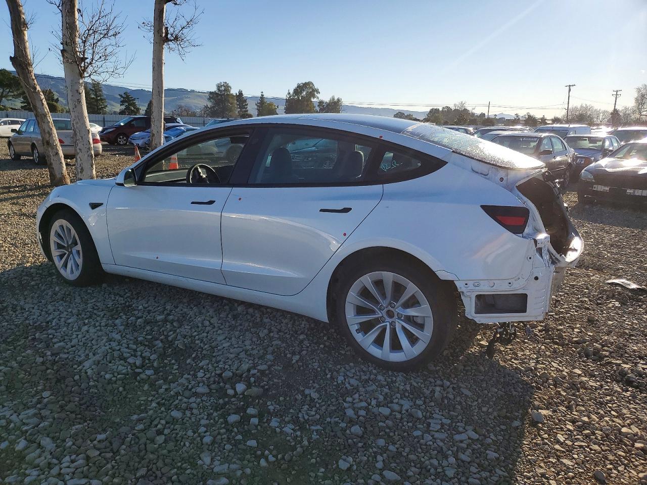 2023 TESLA MODEL 3 photo 3