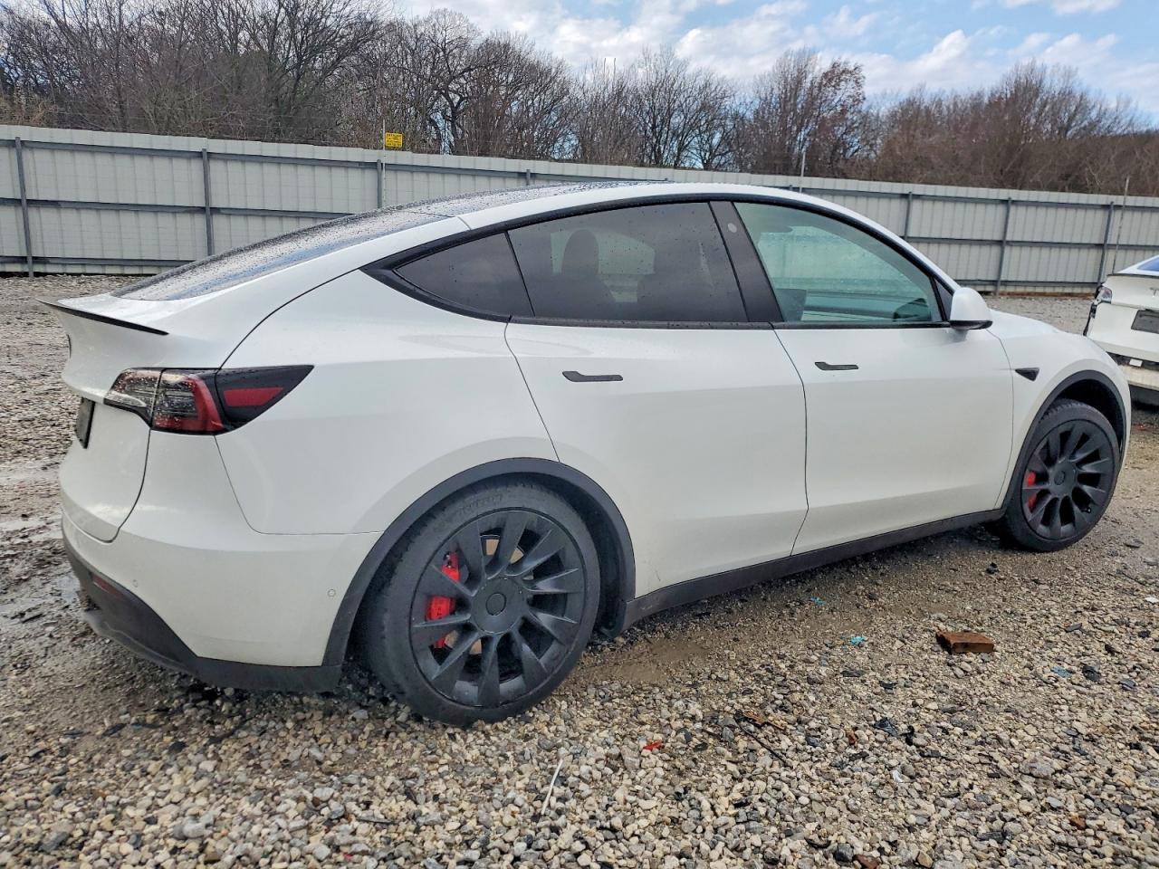 2021 TESLA MODEL Y photo 3