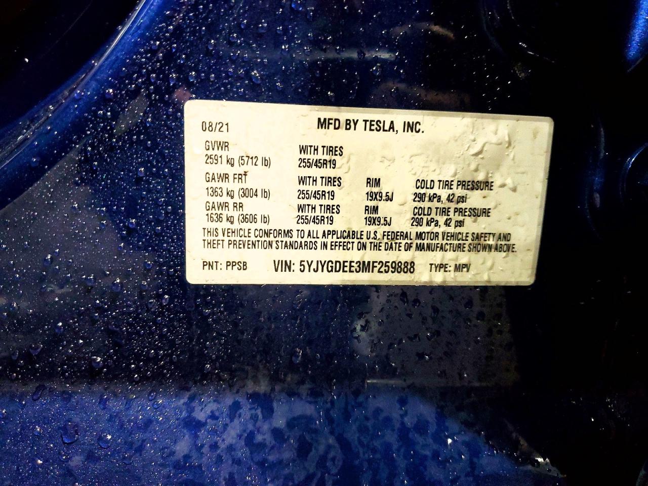 2021 TESLA MODEL Y photo 13