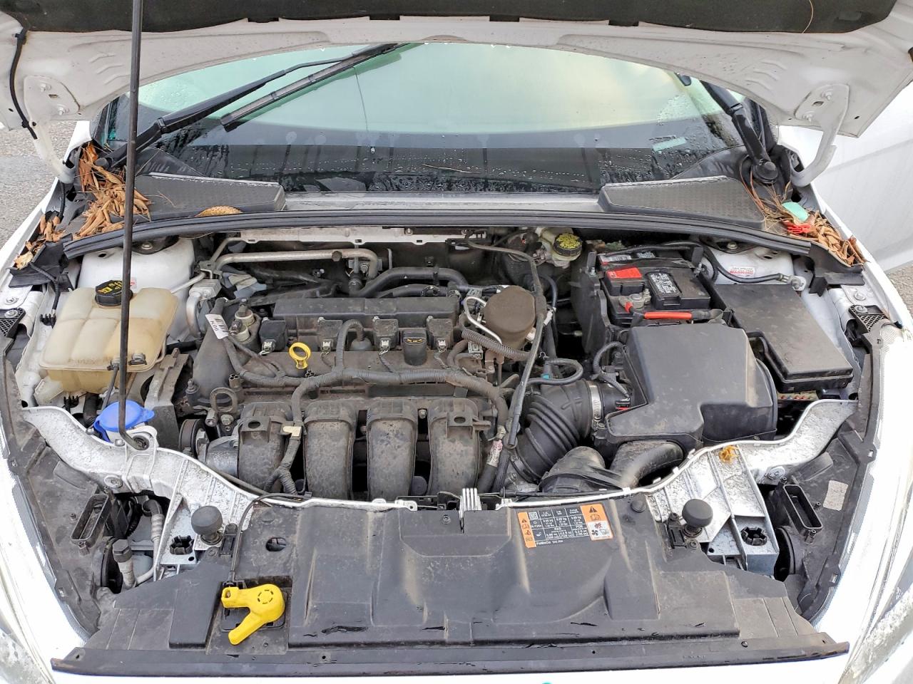 2015 FORD FOCUS SE photo 11