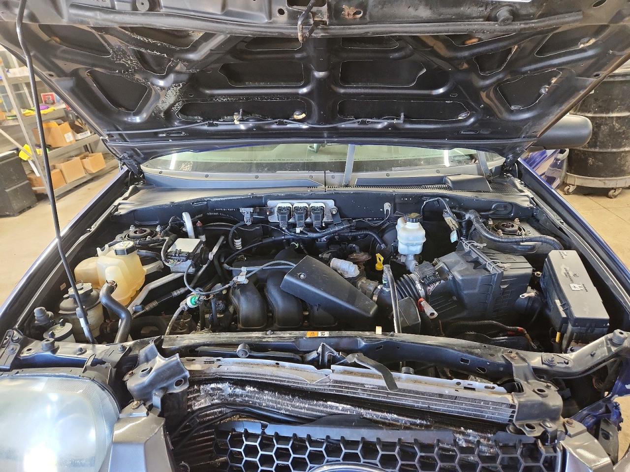 2006 FORD ESCAPE XLT photo 12
