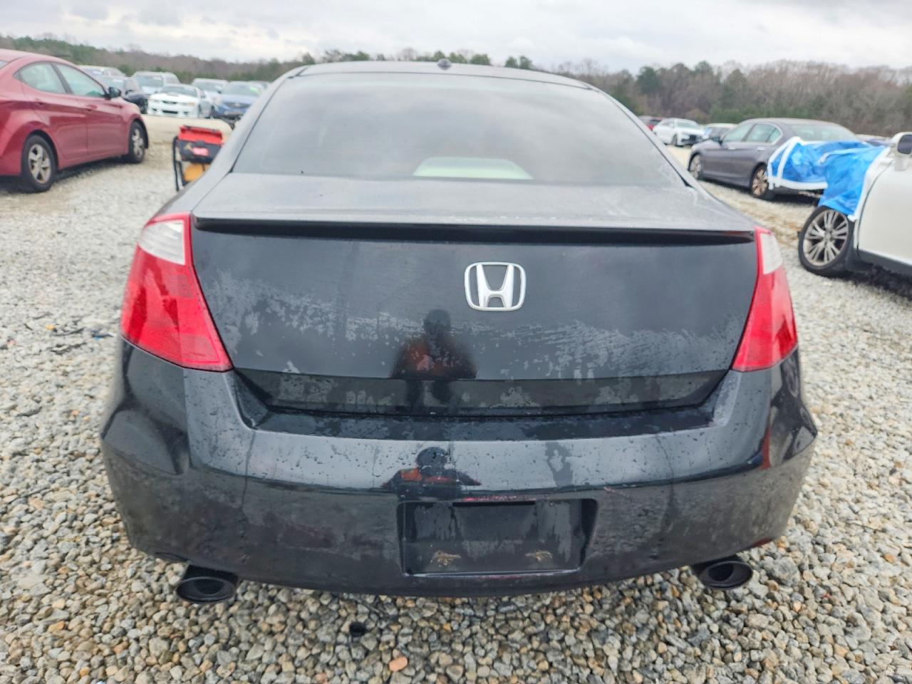 2008 HONDA ACCORD EXL photo 6