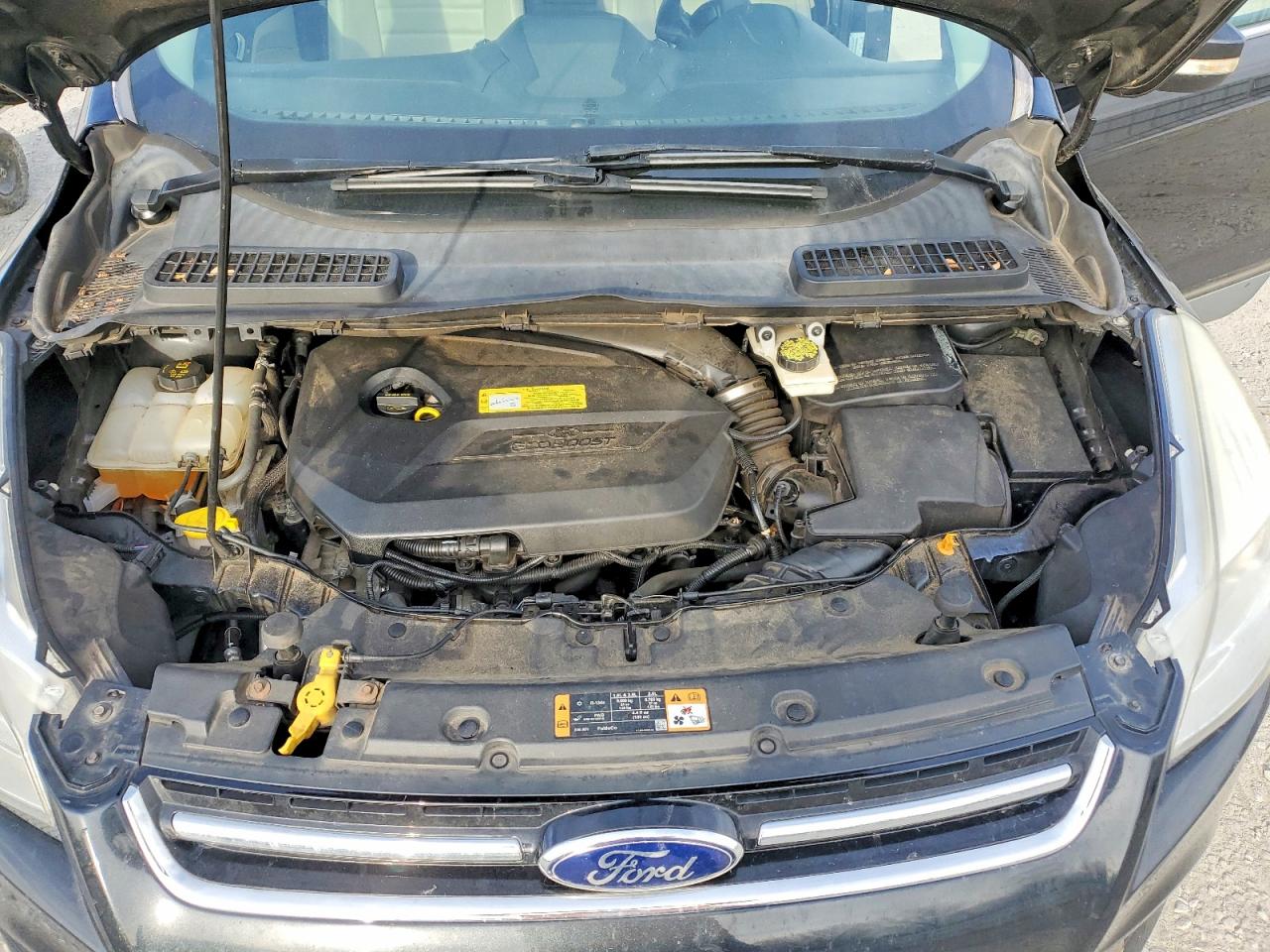 2014 FORD ESCAPE photo 12