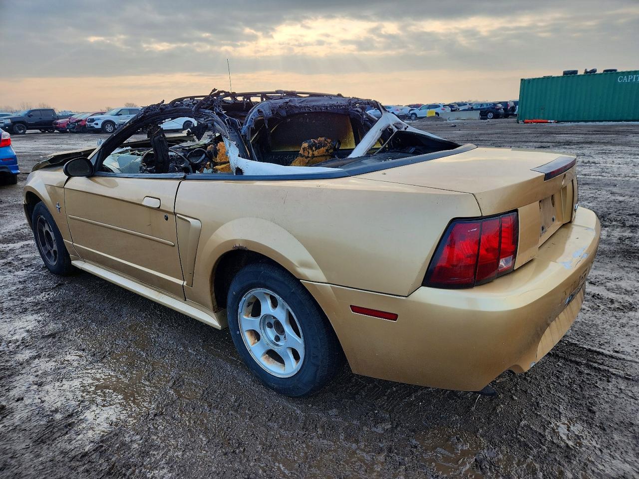 2000 FORD MUSTANG photo 2