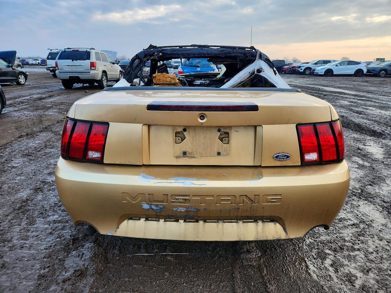 2000 FORD MUSTANG photo 6