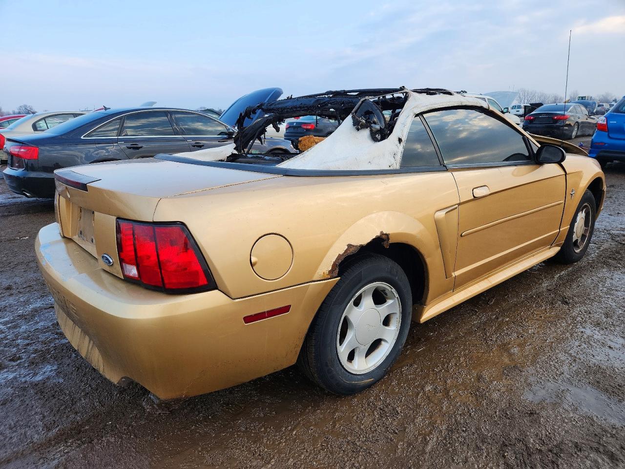 2000 FORD MUSTANG photo 3