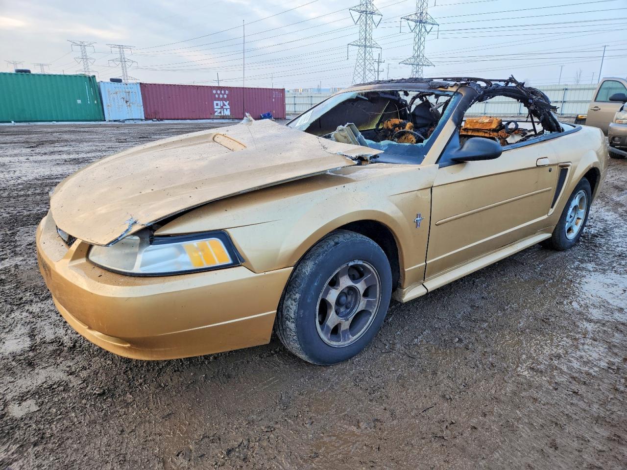 2000 FORD MUSTANG