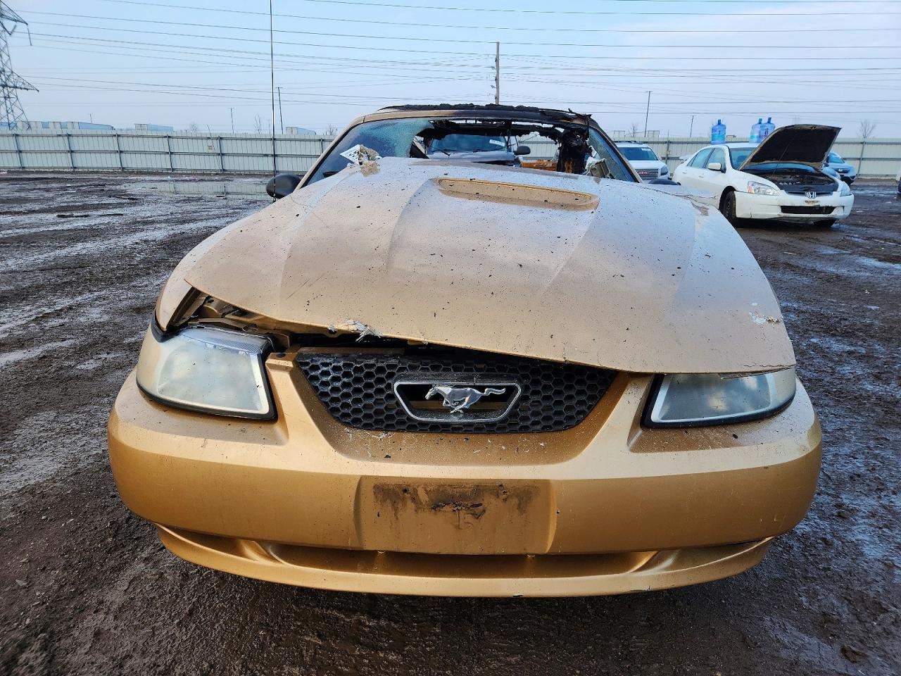 2000 FORD MUSTANG photo 5