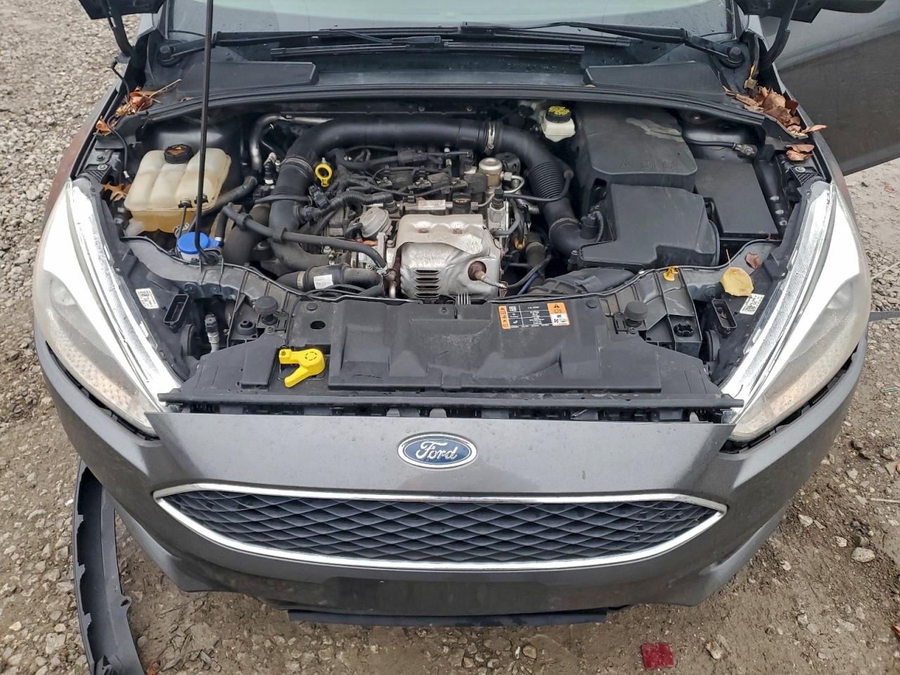 2017 FORD FOCUS SE photo 11