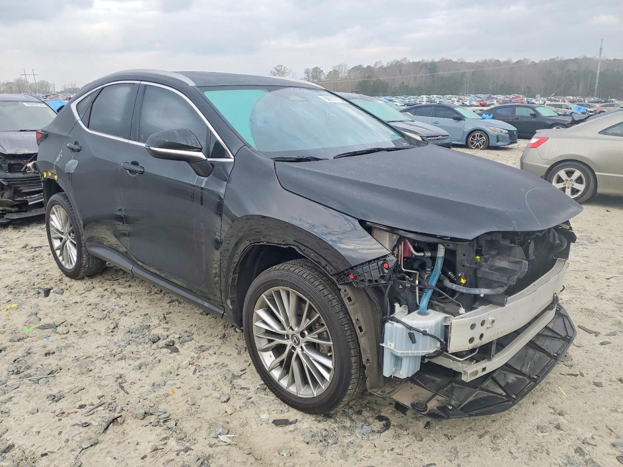 2023 LEXUS NX 350H photo 4