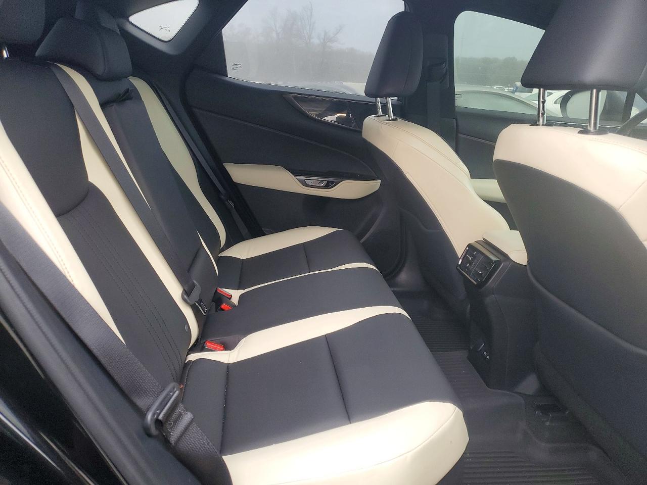 2023 LEXUS NX 350H photo 11