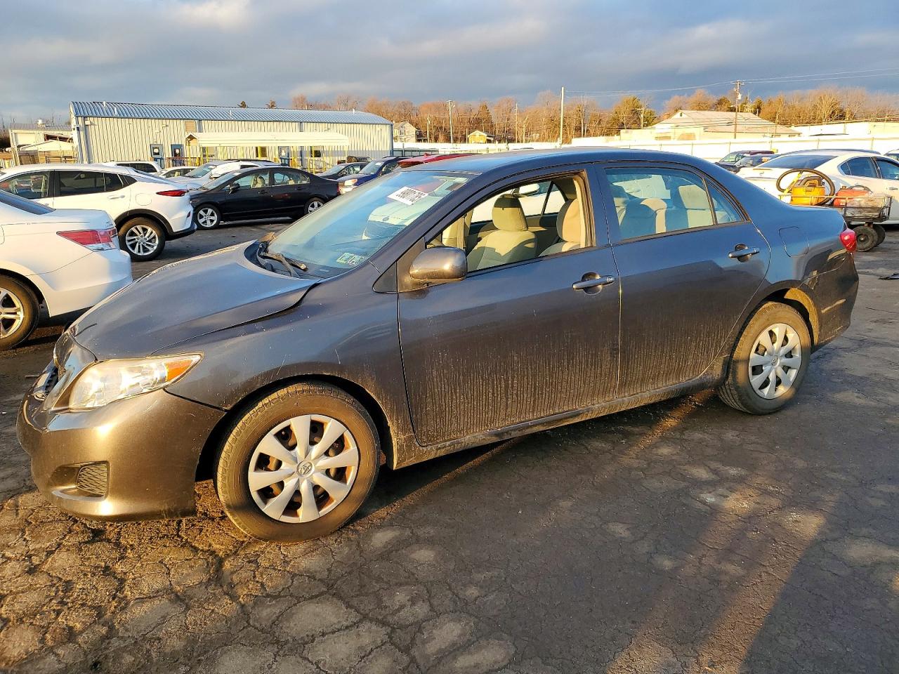 2009 TOYOTA COROLLA