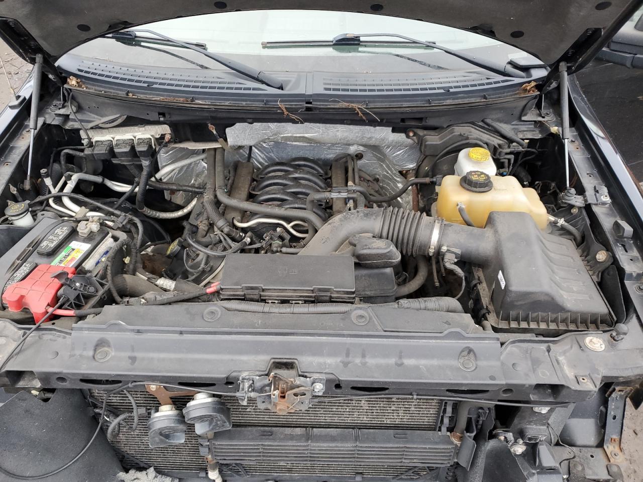 2014 FORD F150 SUPERCREW photo 11