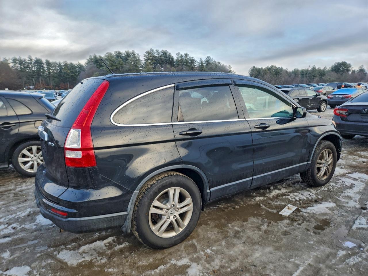 2010 HONDA CR-V EXL photo 3