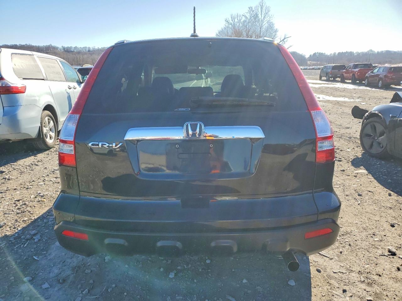 2009 HONDA CR-V EXL photo 6