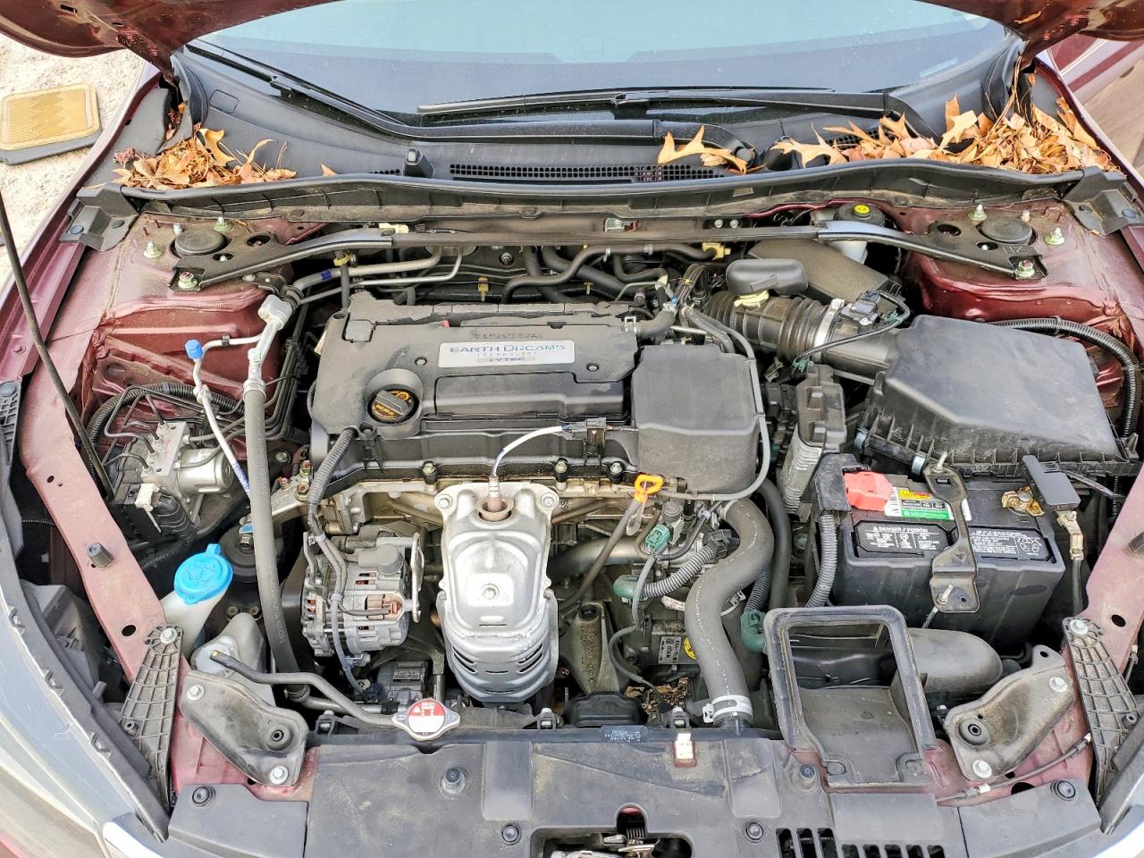 2014 HONDA ACCORD EXL photo 11