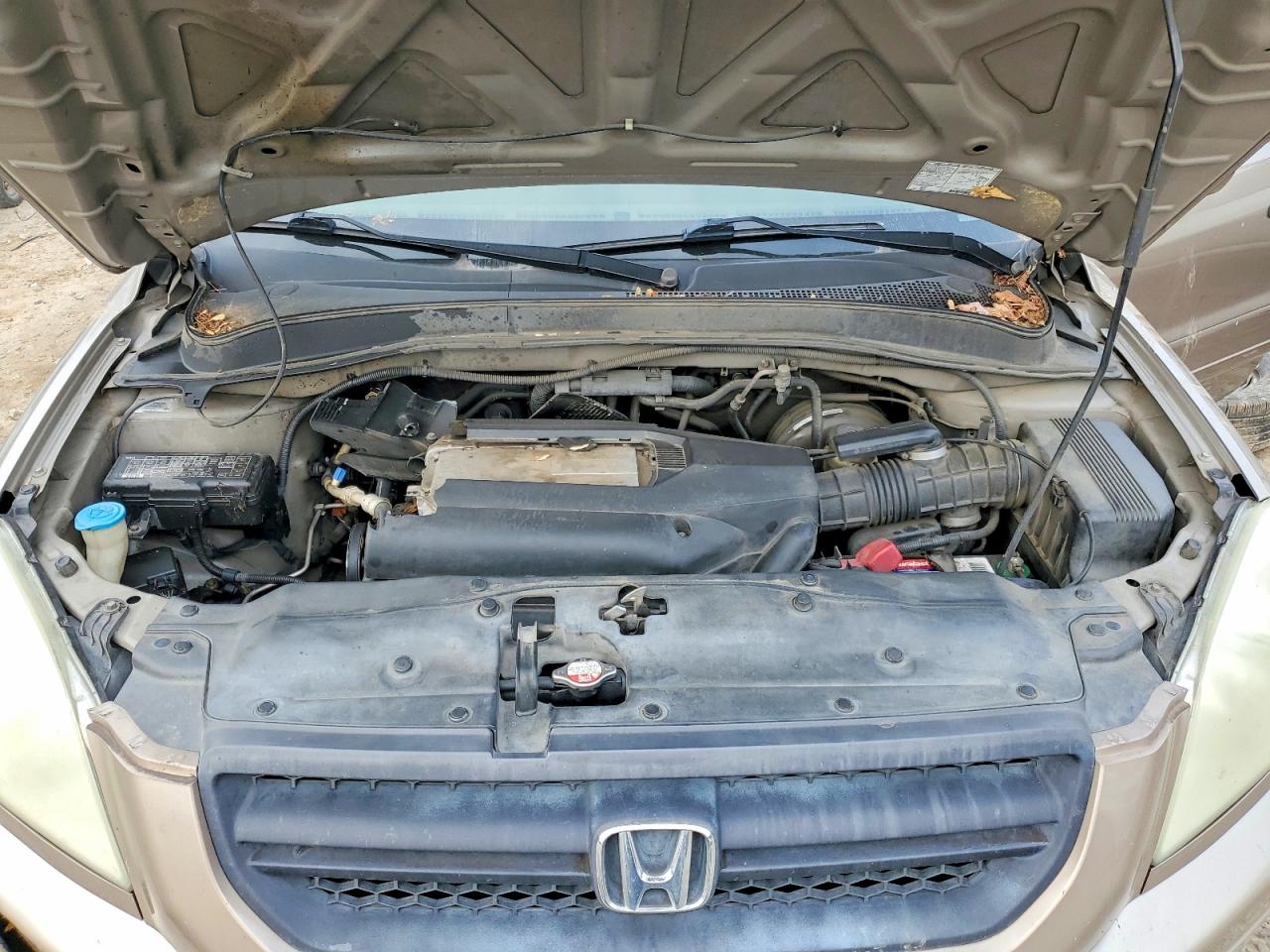 2004 HONDA PILOT EXL photo 12
