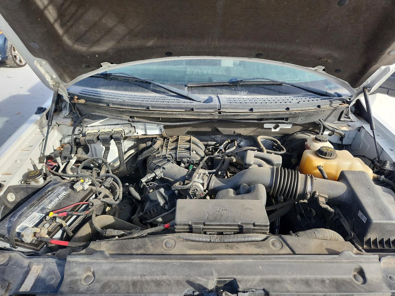 2013 FORD F150 photo 11
