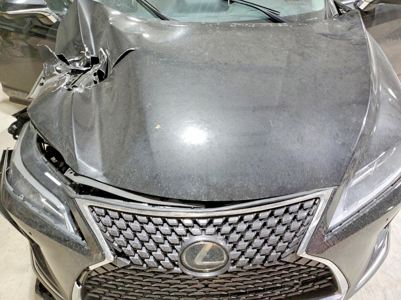 2020 LEXUS RX 350 photo 12